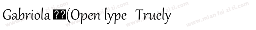 Gabriola 常规(Open lype   Truelype) (字体转换